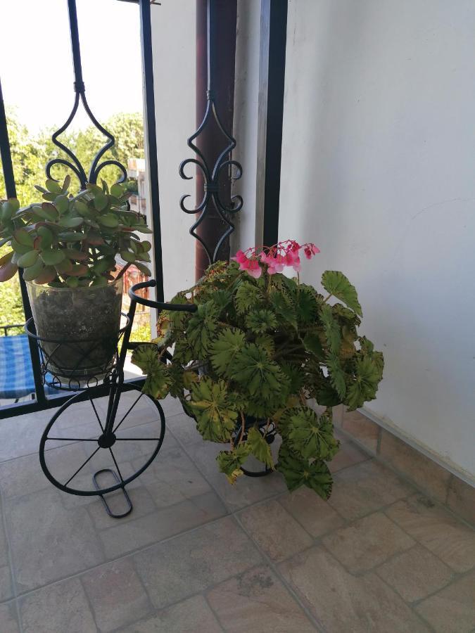 Villa Steffi Altın Kumlar Dış mekan fotoğraf