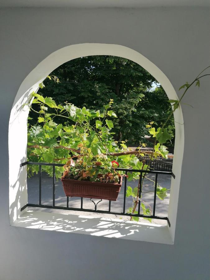 Villa Steffi Altın Kumlar Dış mekan fotoğraf