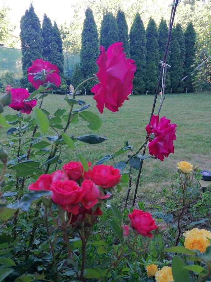 Villa Steffi Altın Kumlar Dış mekan fotoğraf